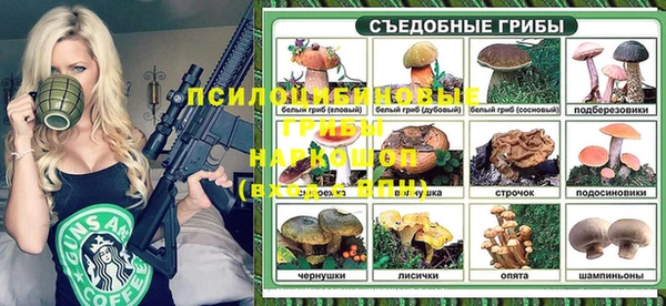 спайс Богданович
