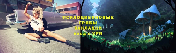 гидропоника Богородицк