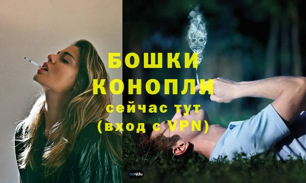 гидропоника Богородицк