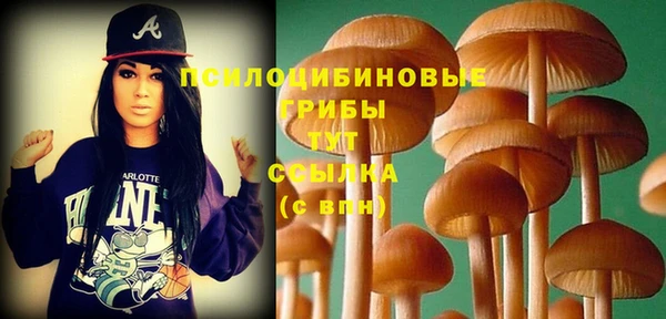 спайс Богданович