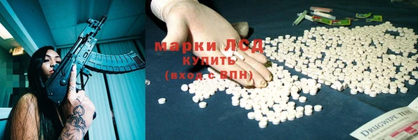 спайс Богданович