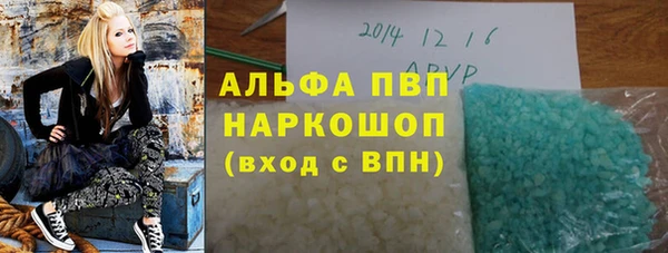 спайс Богданович